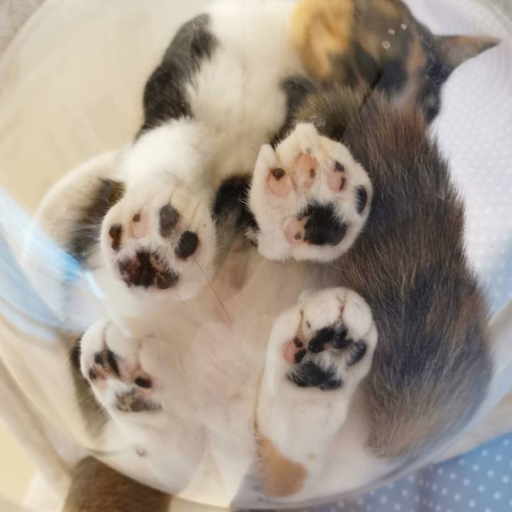 11835282 3e71 42ab b534 ee3fed07b83c 1648185557362