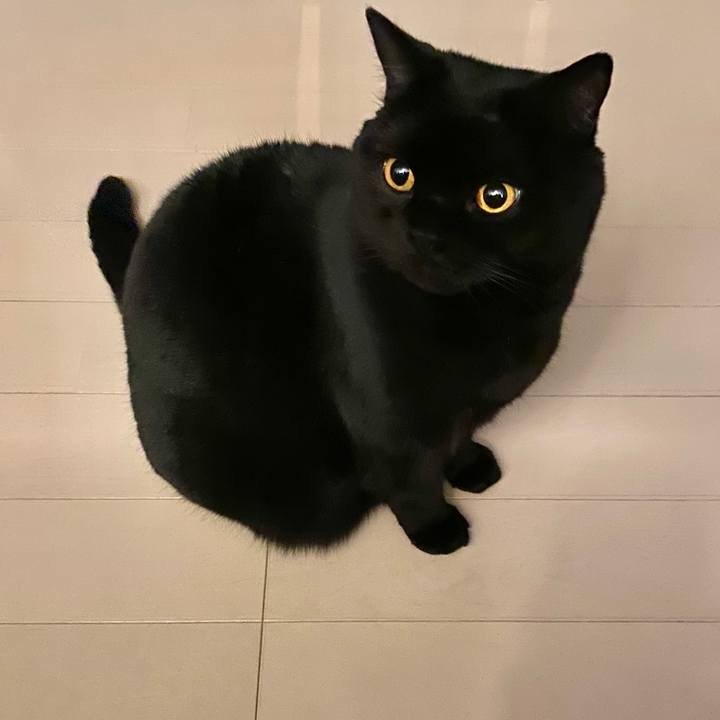 11836b82 b47f 4ec4 99e3 b3039009c63e 1650026767275