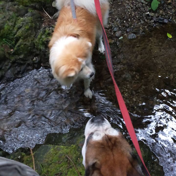 1183b0ca ab44 4e6a 995b e21a271cac09 1656767192243