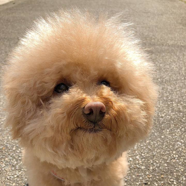 1183c461 485c 4779 8218 7014f6927b50 1525409881041