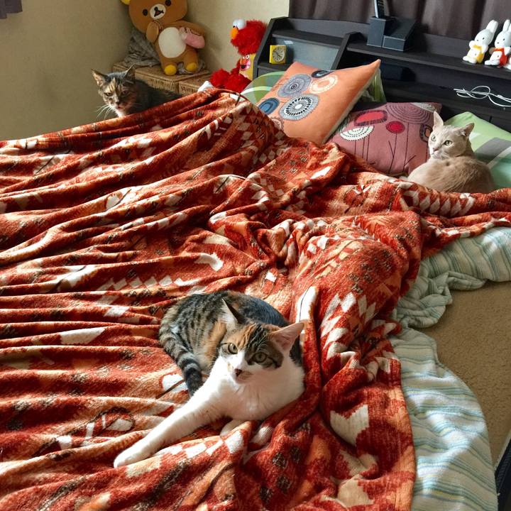 1183c65e 4f1c 44e7 96a1 f5865b4c81ef 1645493631811