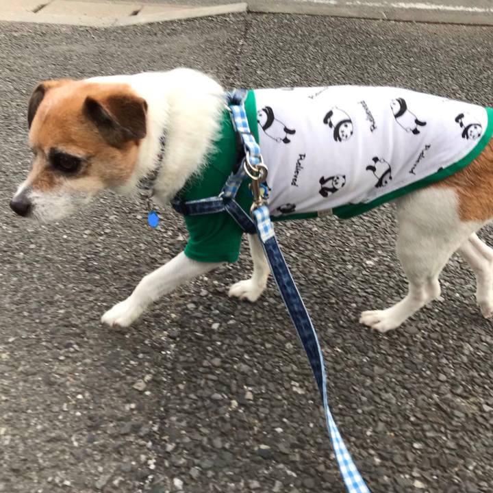 1183deab b1a9 463d a00f 60907f85f898 1557483607204