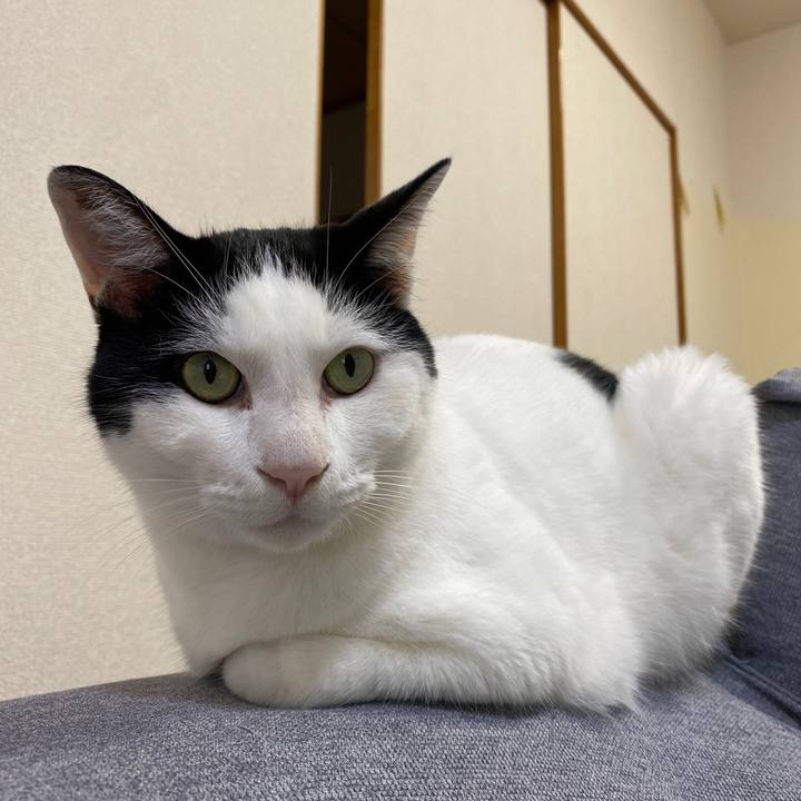 11841713 8499 4e88 ad75 4df2e148938e 1694749737033