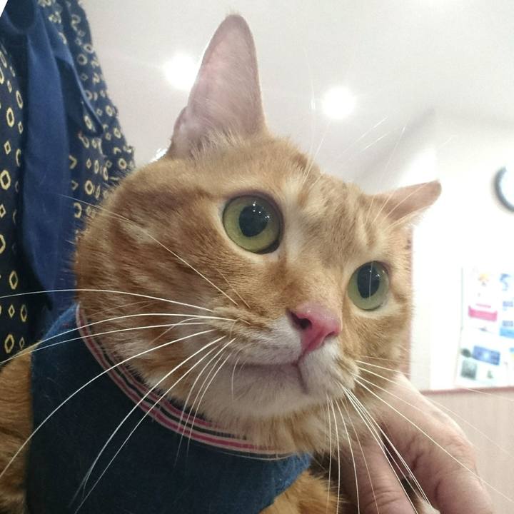 11841fef 241a 447f b767 7b11ef908169 1530365389440