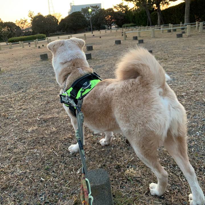 11845fcf 6e49 4d1c b42a 962f66bb96e7 1550417415349