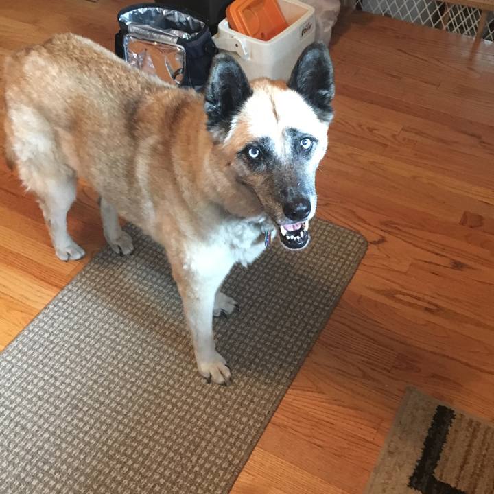 118466bb a23a 4292 a2ce 82697ca62f48 1531693515204