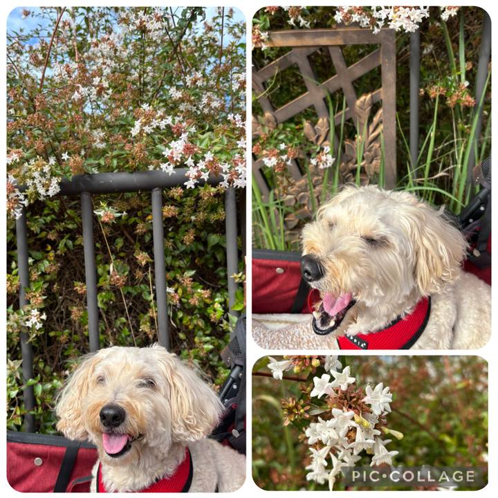 118477d4 2c6a 4856 9211 3f8840f61d96 1759546776013