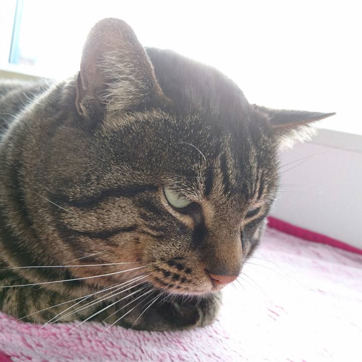 1184deba f9b1 4193 a377 71c240b754b2 1511866862875