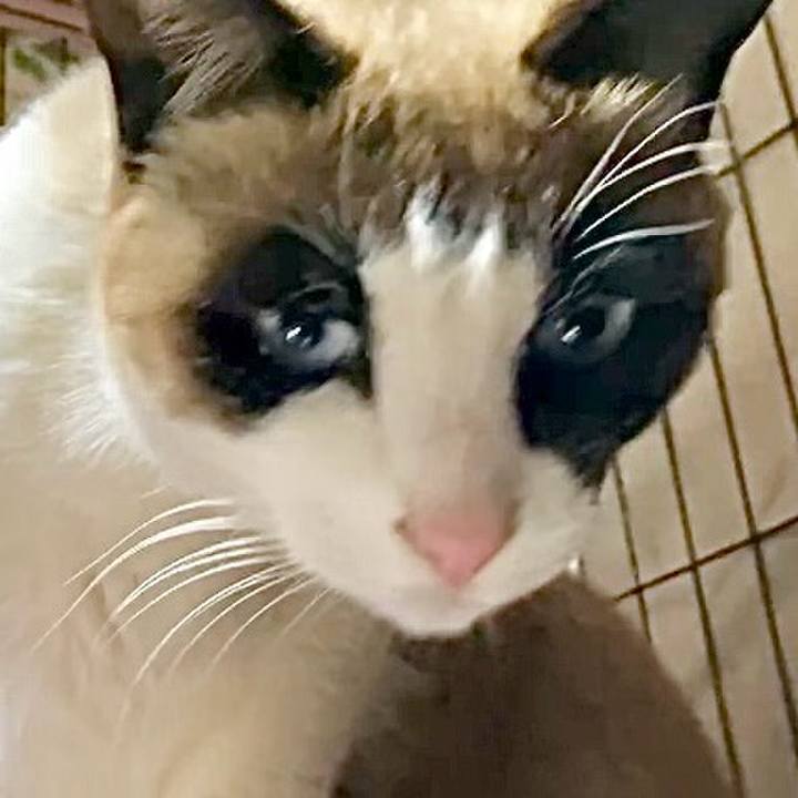 11855791 1ff1 4d98 b910 dbab96124a79 1742290073736