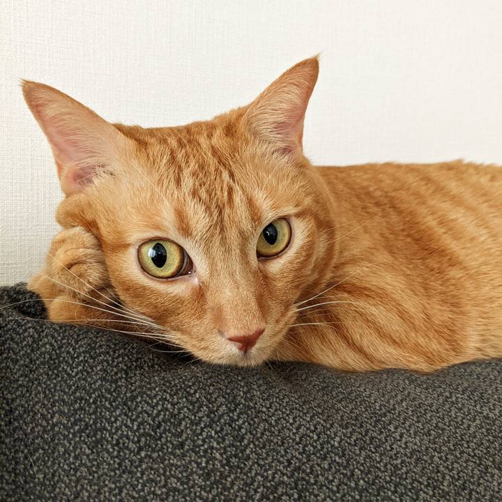 11855ede 0fb8 466d 9e5e 81fae1c74b66 1658737308714