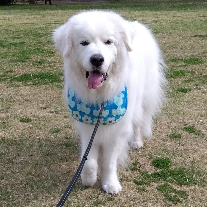 1185743d 8158 48e5 a64d 2c335feb5963 1714184277572