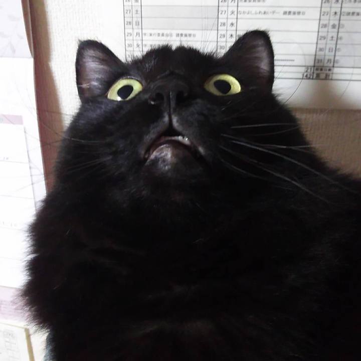 1185b3a1 fd12 4578 a684 ccdb59ea609a 1539006425784