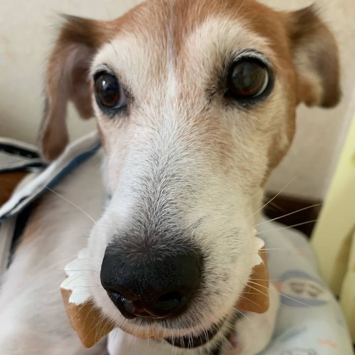 1185dcba 4e36 4bc9 a4db 73ec40a1fce3 1602683406895