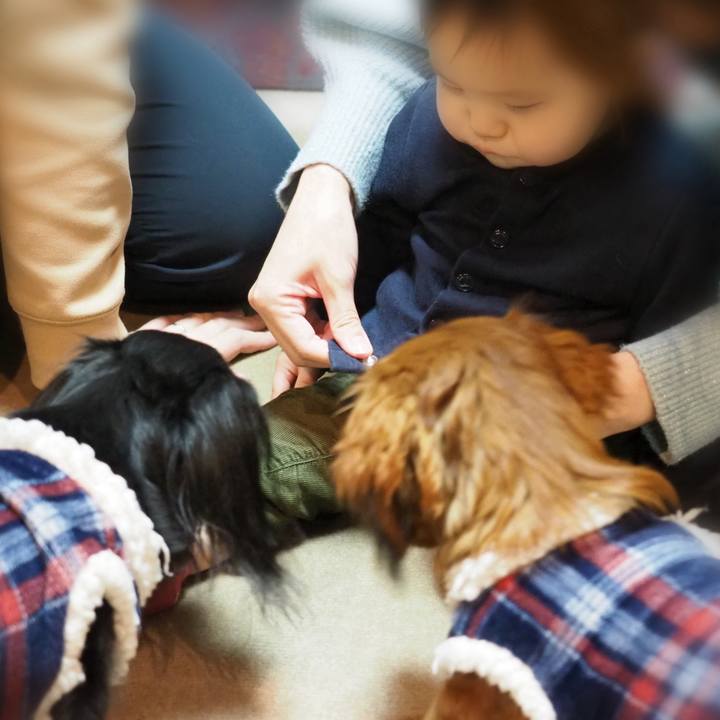 1185dee3 baf7 4559 b88a 0d3ec81d8942 1704206858708