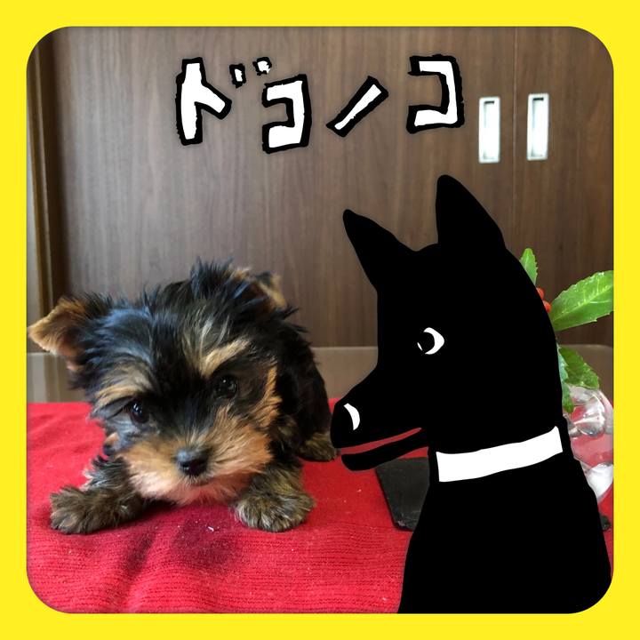 11860484 8707 4747 a7ce f17cfa54fb5c 1622941451295