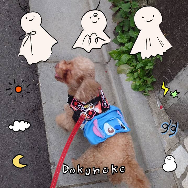 11860f27 55fe 4af7 9e5f 4489f05b6bfe 1749353582060