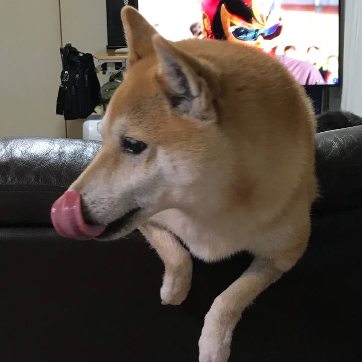 11861d62 514d 4a9b 89d1 ce1a40d1d77e 1515242952237