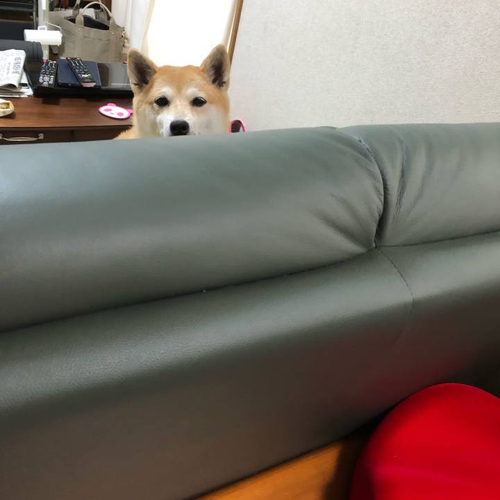 11862e8e 4f62 4a04 86e2 c8fa6be36eb7 1563841864682