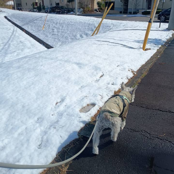 11863606 a4cc 4bde afff ed8cfa0a93c9 1773134736368