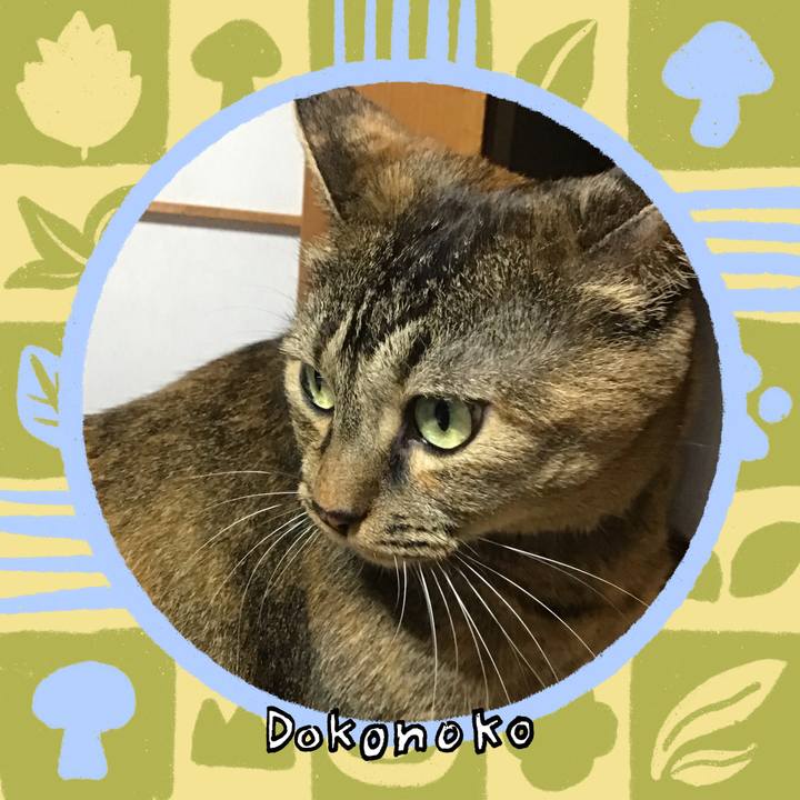 11866992 1ce7 4181 a473 2f9117486964 1761554341132