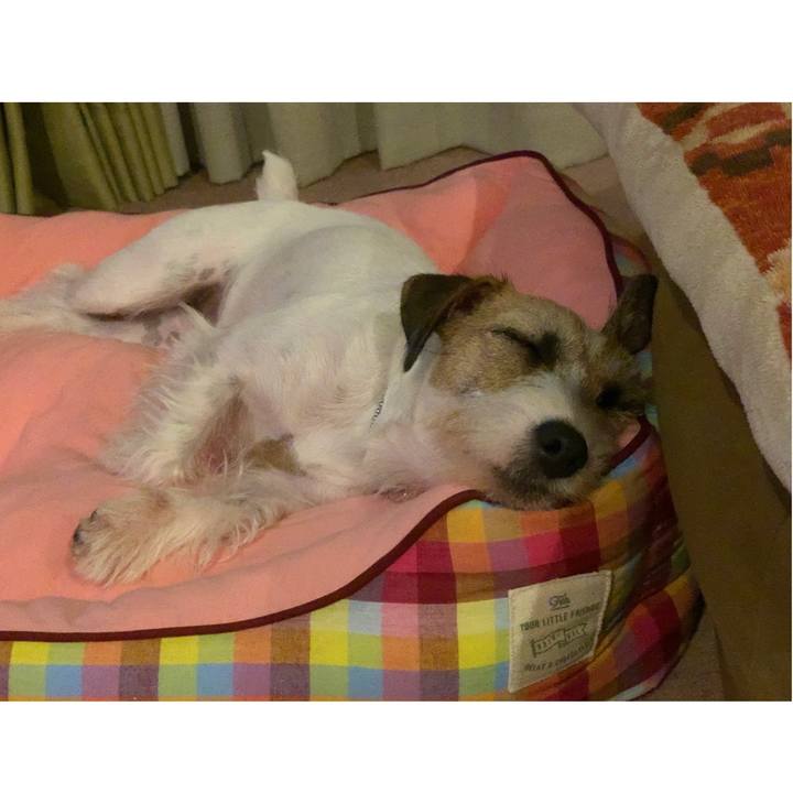 118670f1 6ca6 462a b1e3 d7babbcbee17 1597153908317