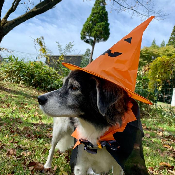 11868181 a6cb 4aac b3e4 6f0f7a364606 1635653570310