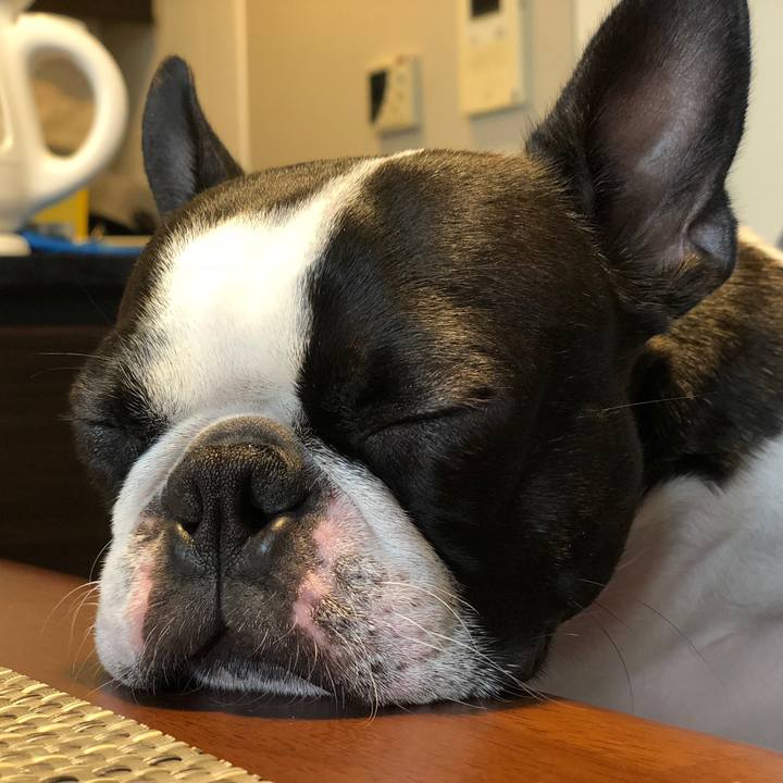 1186db3e 0549 4050 ac4a b380913644f5 1535861085255