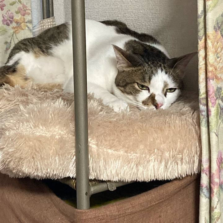 1186df95 4a98 4612 8a9f e1fc51f824a5 1627983013656