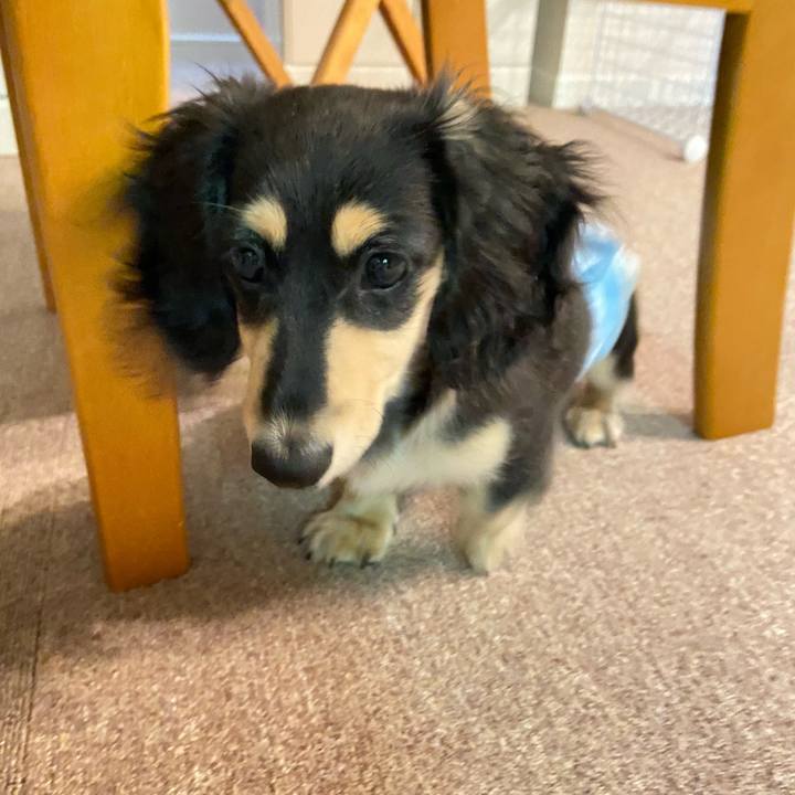 11870238 1464 42d6 bf5d da257a63b330 1670284499717