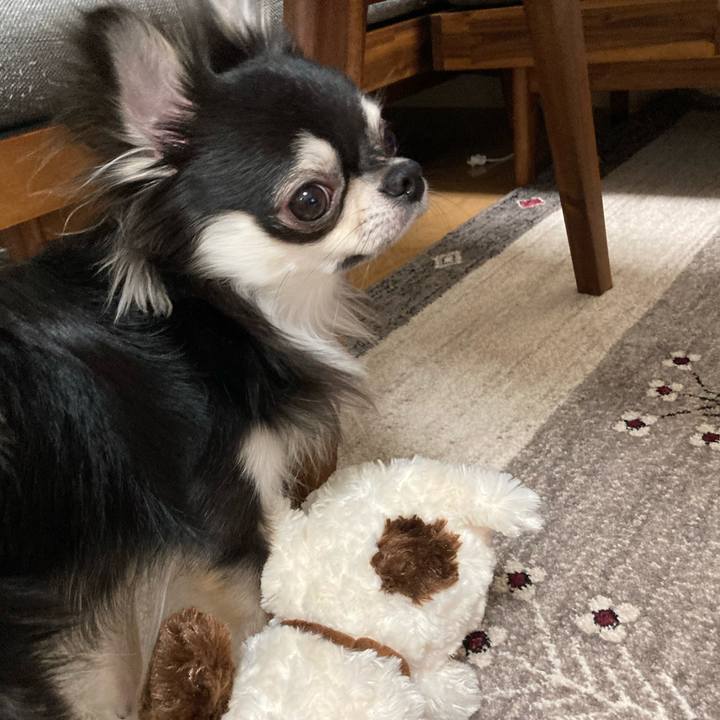 11877ffe f481 4152 8f21 048b634fe340 1617454490142