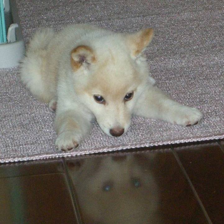 11878525 e4c0 49c5 b6cd 802207f3db02 1633992839805