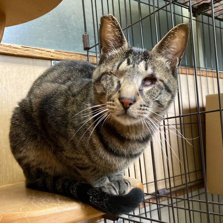 1187bf6f 903e 45b7 be4e 5cb0172486d0 1685484418025