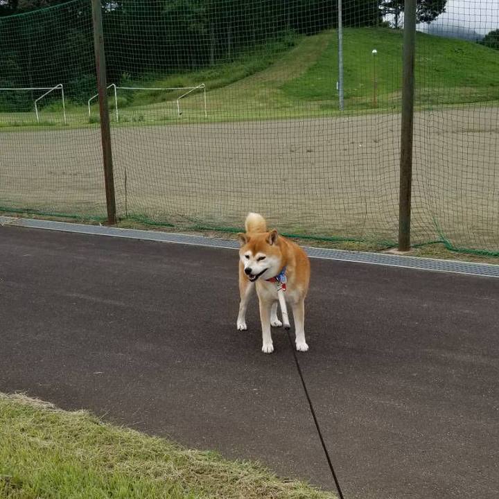 1187c1e9 345e 45df b7a2 74fffb8b0c6f 1536462650006