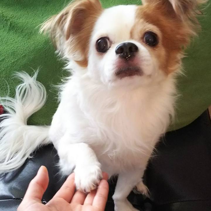 1187c2c4 1243 47e1 8644 77db3ad8e6ec 1518682626517