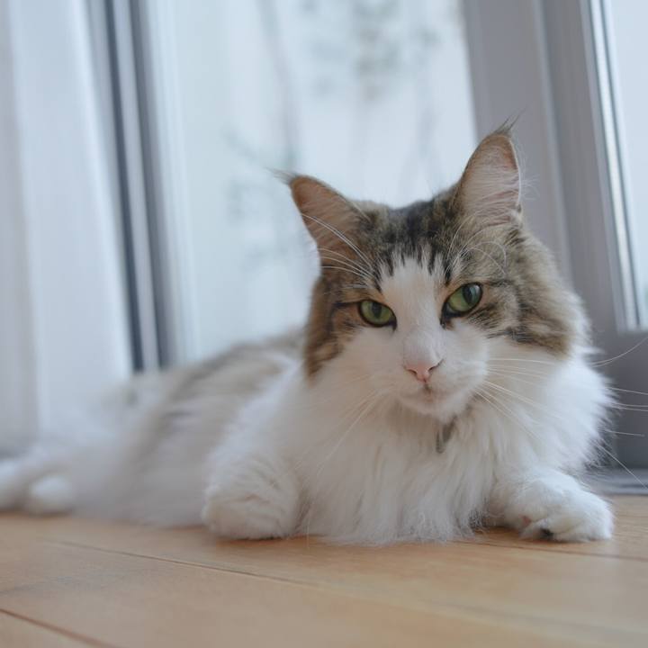 1187ce0b ed16 4a41 983b 8d62c81167c0 1599661489839