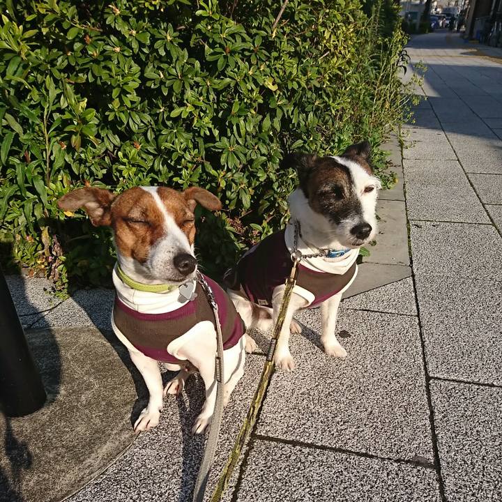 1187cffe 7fc6 4e81 9e20 0979b6f3f838 1585865696164