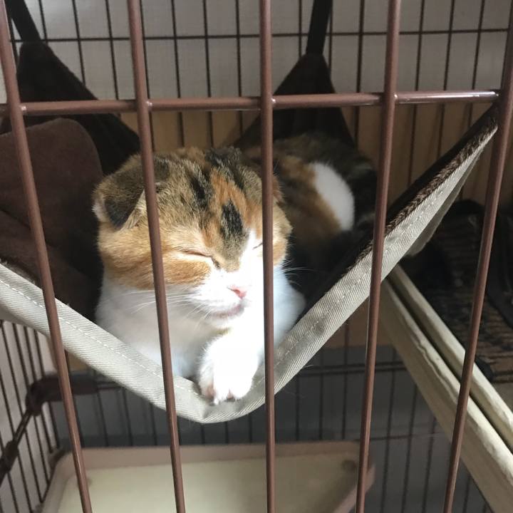 1187e6fc 2184 44cd 9dd2 289663358ec0 1509017322002