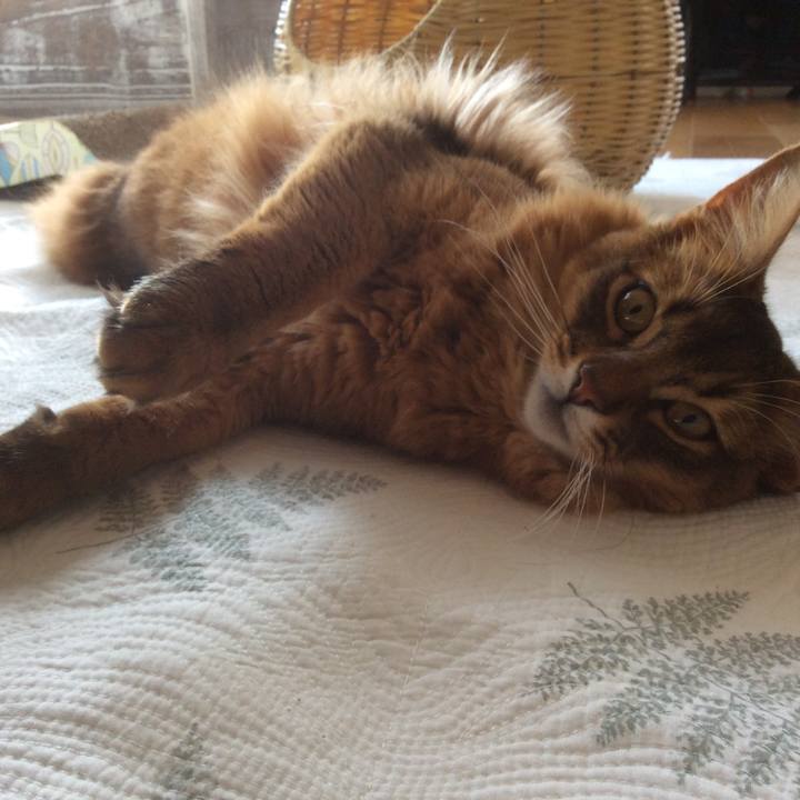 1187f93a 2ab2 4187 992b 600cc0e1f758 1616669270915