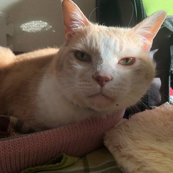 1187fa37 f6b3 4168 9a5e 086087ce00a5 1610667763275