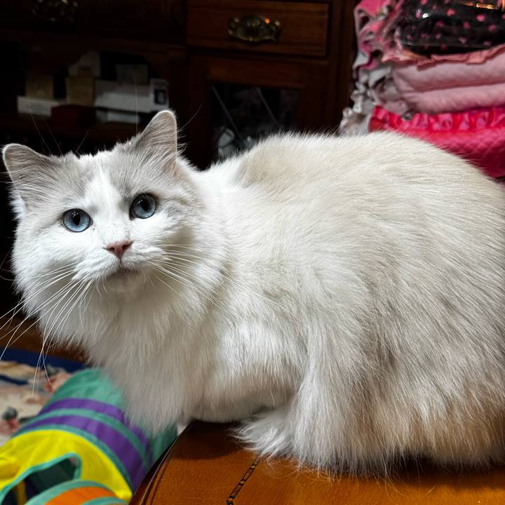 11882151 f89a 42e1 9f49 d6c8e9965903 1770554953728