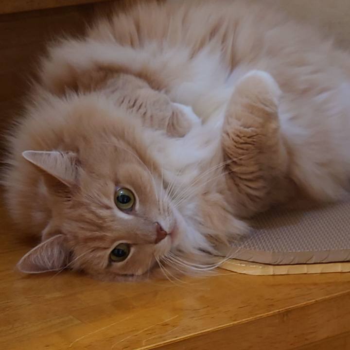 11885f97 404f 4225 b1bc 36544032487b 1673329201823