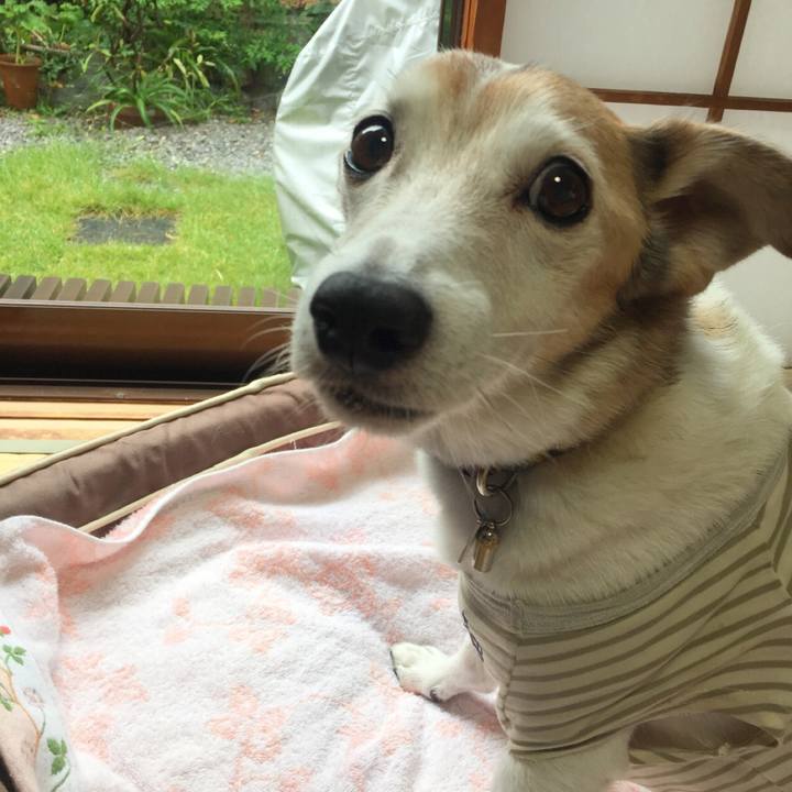 11888fdb 077f 44ac bb59 80280719bc6f 1508714391322