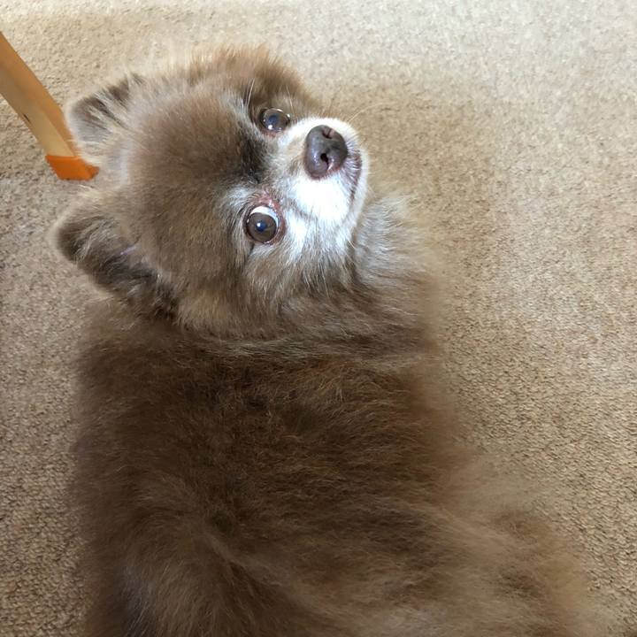 1188a36d e21f 4826 ba7c 55d10e7edec8 1596584998033