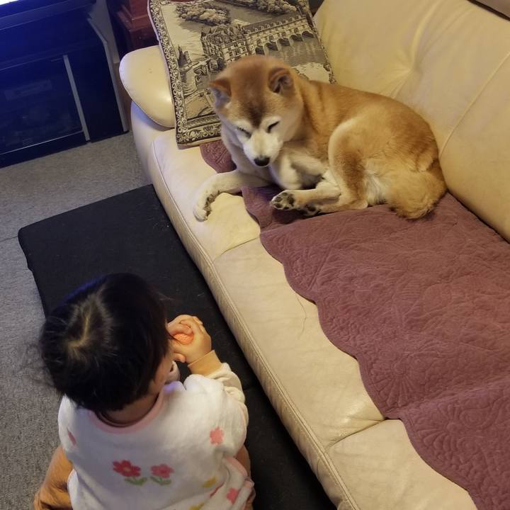 1188bde8 36da 462e 9b81 ca768367c7ad 1735944567287