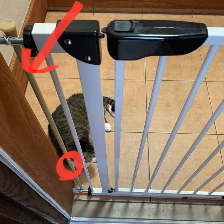 1188e27f 0728 47c6 9472 b0aad44df010 1658916107141