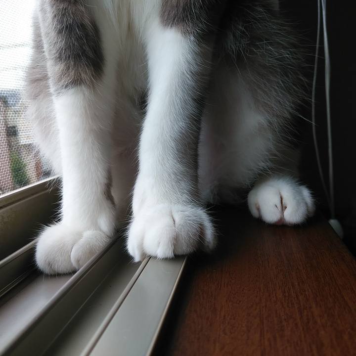 11895c73 20a1 4e58 872f 1cb5d174c6fa 1594248964312