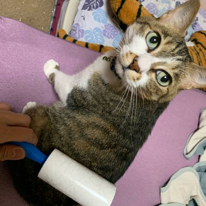 118962ec bbe1 47ce 8aac c383793baf52 1624964869304