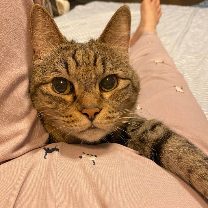 118988e7 c8c6 408a aedc 9ecedd84adb4 1729434768445