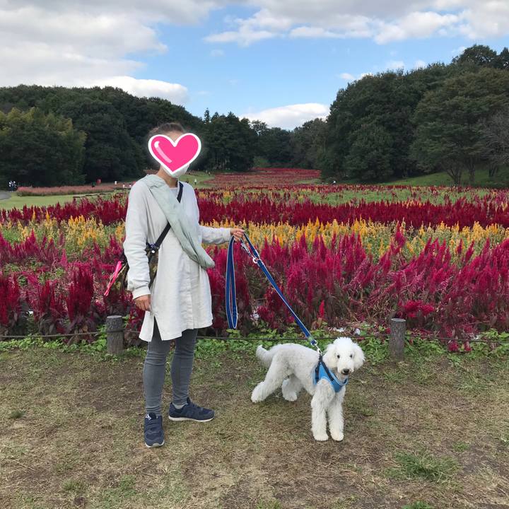 1189b0db e713 4a22 aada 1dab49f26e2b 1603341989839