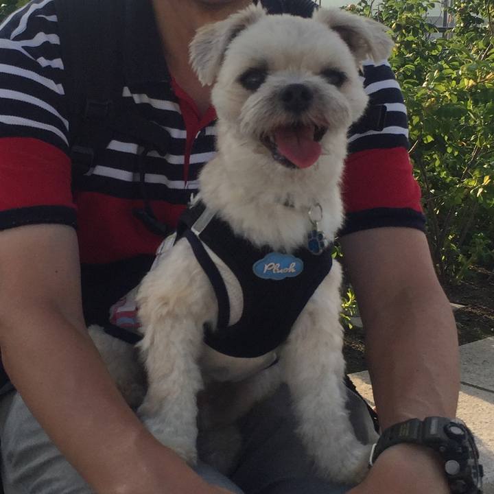 1189bc07 eae2 463f 90f7 8d5171417436 1530440527293